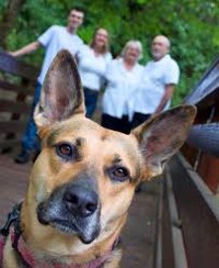 Lucky Paws Adoption Van Is On The Move - Whole Foods
