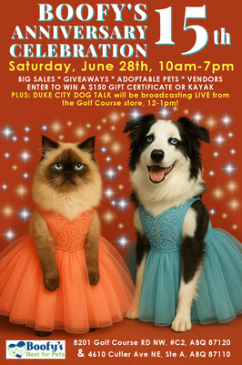 Lucky Paws Van on The Move - Boofy's Best for Pets