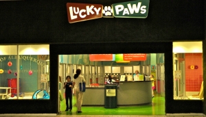 Lucky Paws Entrance