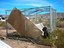 Alamogordo Dogs4