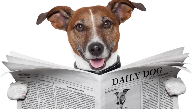AWD News Section Tile