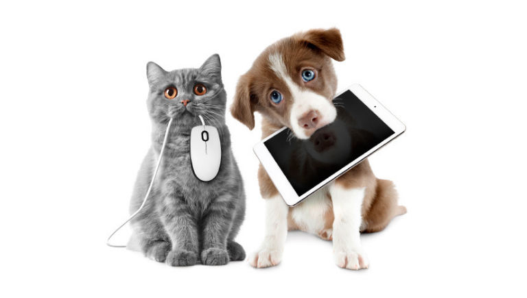 A cat with a computer mouse in its mouth and a dog with a tablet in its mouth