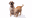 Custom Pet ID Tag Section Block Tile