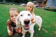 Yellow lab and girls