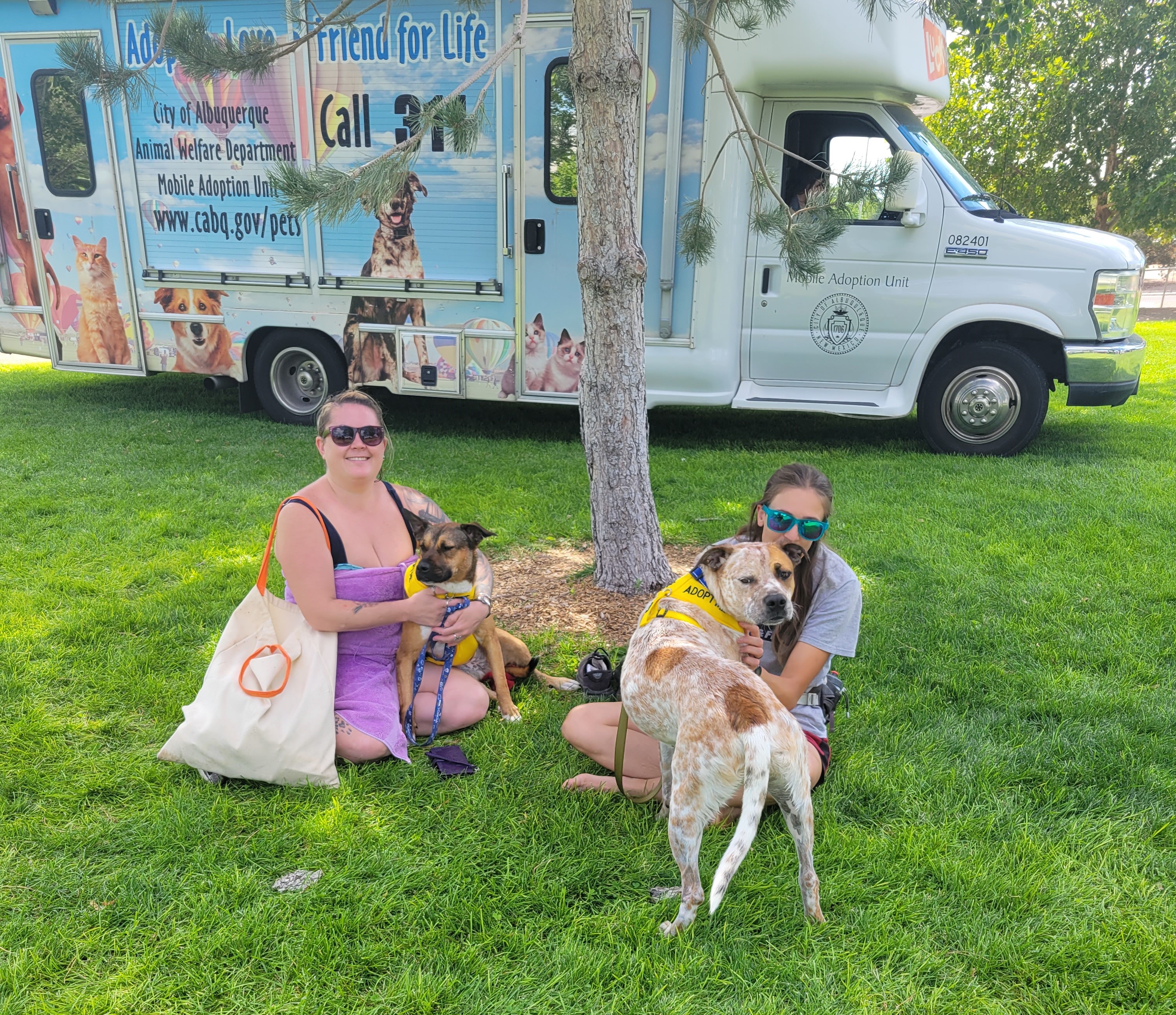 Lucky Paws Van