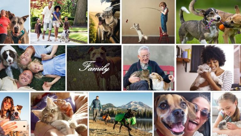 A collage of images showing happy pets and owners with the word Family in the middle.