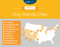 Albuquerque Ranks as #2 Most Dog-Friendly City in America