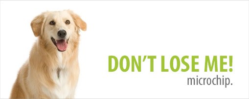 Animal Welfare Department is offering FREE Microchipping and Custom Pet Tags