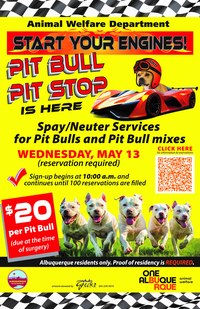 Animal Welfare Pit Crew Ready for Pit Bull Pit Stop