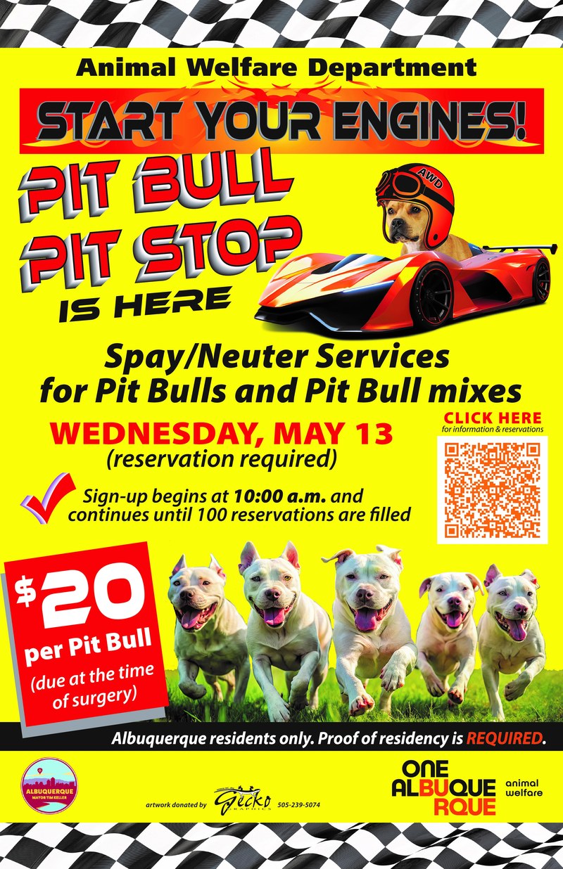 Animal Welfare Pit Crew Ready for Pit Bull Pit Stop
