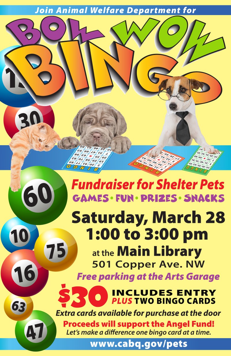 Bow Wow Bingo Supports City Shelter Pets