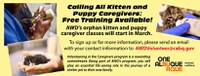 Calling All Kitten and Puppy Caregivers: Free Training Available!