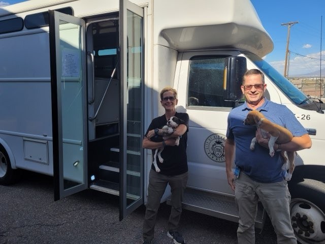 City Rescues 17 Dogs in Statewide Effort City Rescues 17 Dogs in Statewide Effort