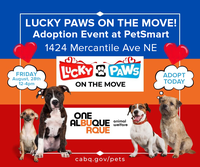 AWD Adoption Event at PetSmart TODAY 12-4pm!