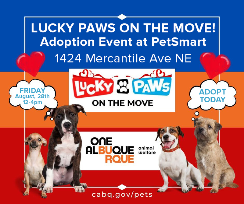 AWD Adoption Event at PetSmart TODAY 12-4pm!