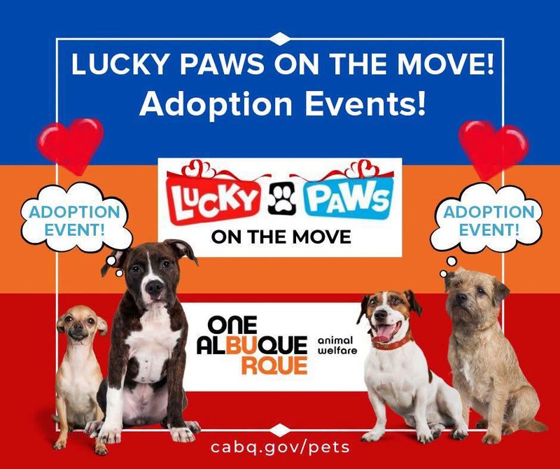 Join AWD for two Lucky Paws adoption events this weekend!