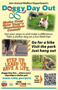 Doggy Day Out: Walk a Shelter Dog, Get Your Steps In!
