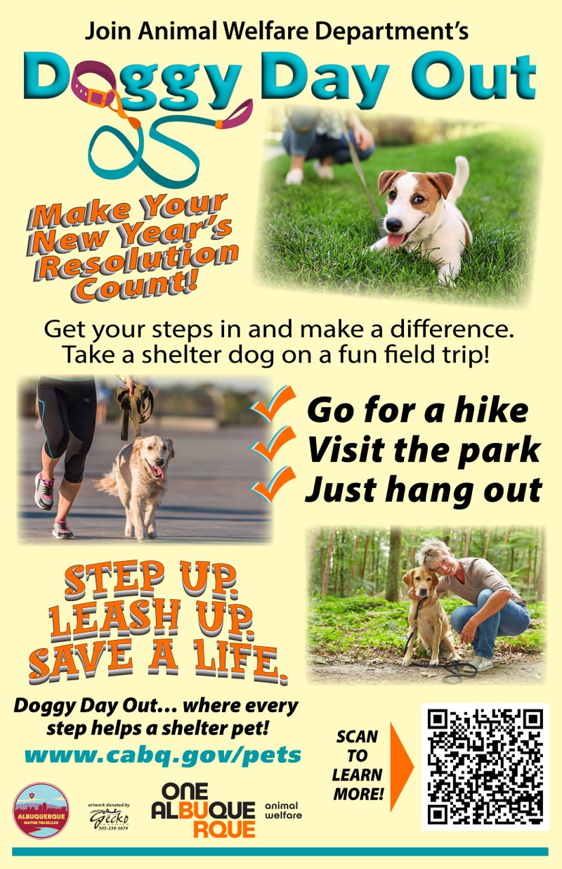 Doggy Day Out: Walk a Shelter Dog, Get Your Steps In!