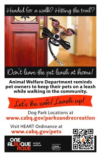Don’t Leave the Leash at Home