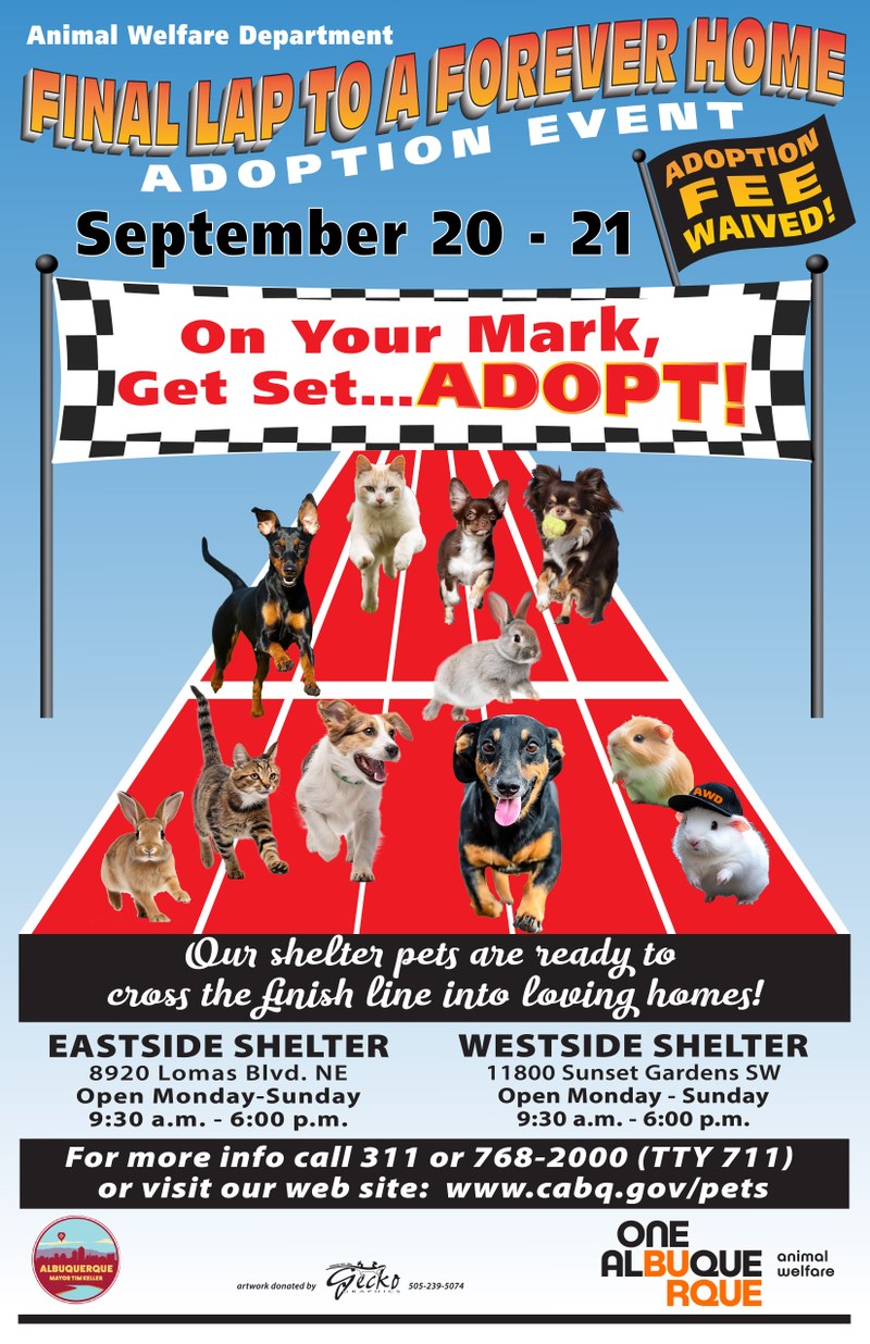 “Final Lap to a Forever Home” Pet Adoption This Weekend “Final Lap to a Forever Home” Pet Adoption This Weekend