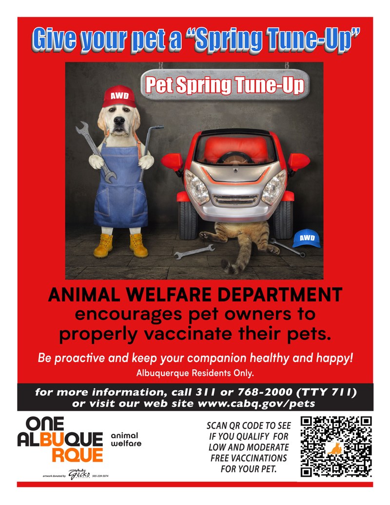 Give Your Pet a Spring Tune-Up Give Your Pet a Spring Tune-Up