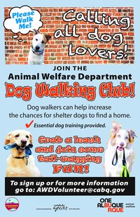 Help Animal Welfare Department Help Shelter Dogs