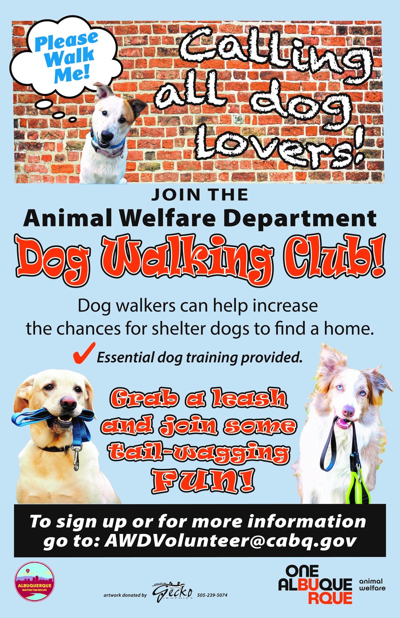 Help Animal Welfare Department Help Shelter Dogs
