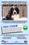 Helpful Tips to Keep Pets Warm This Winter