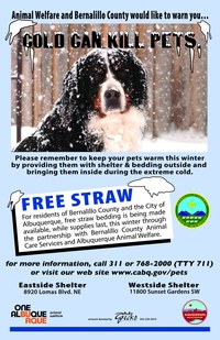 Helpful Tips to Keep Pets Warm This Winter