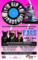 It’s Hip to Microchip