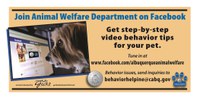 Join Animal Welfare Department on Facebook