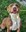 Keep Pets Safe by Keeping Them Leashed