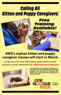Kitten and Puppy Caregivers Invited to Free Training