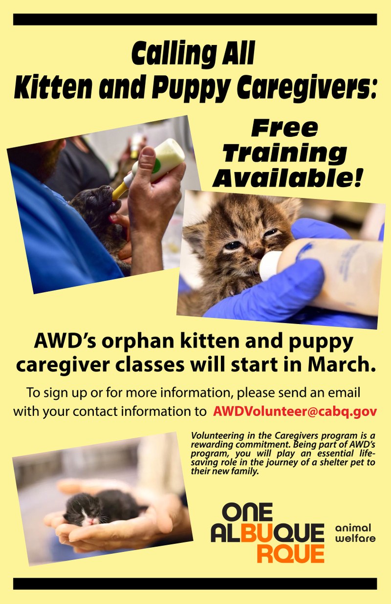 Kitten and Puppy Caregivers Invited to Free Training