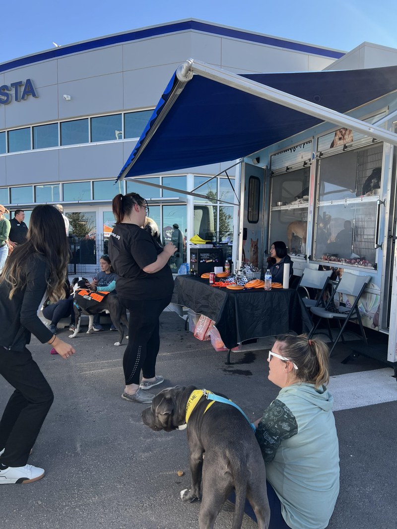 Lucky Paws Takes Adoptions on the Road Lucky Paws Takes Adoptions on the Road