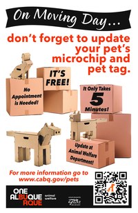 Moving Day – Is Your Pet Info Up to Date?