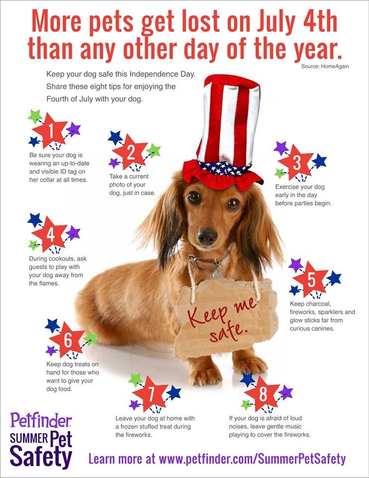 Pet Safety Tips: Fourth of July