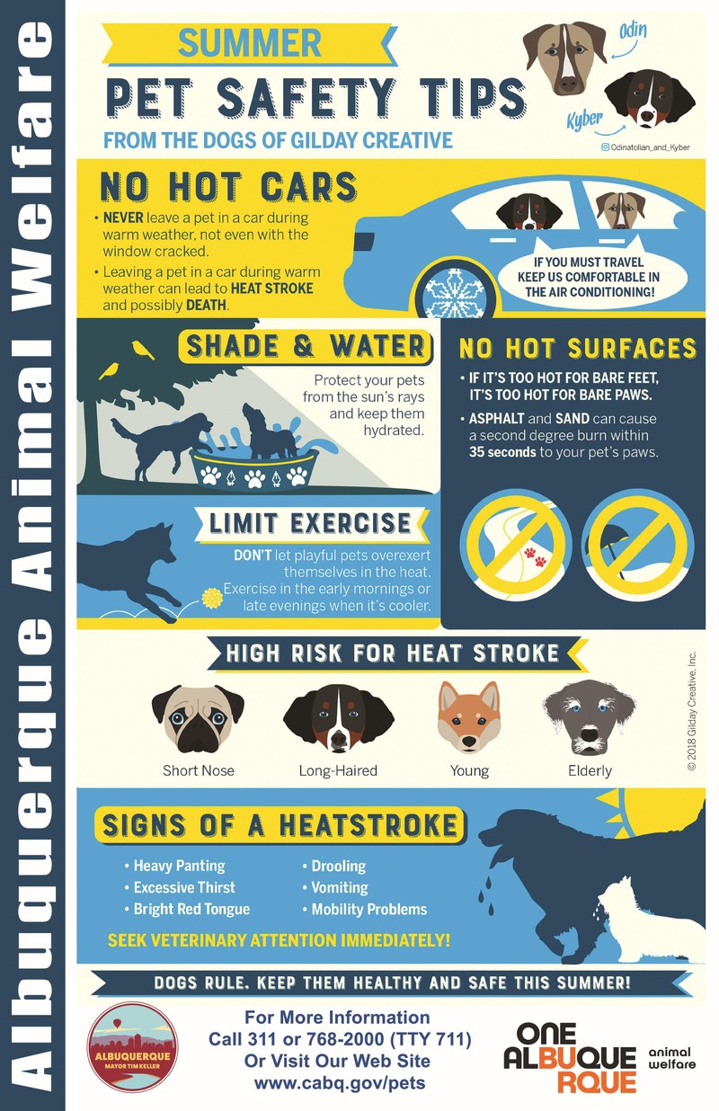 Steps to Keep Your Pets Safe in Hot Summer Months Steps to Keep Your Pets Safe in Hot Summer Months
