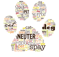 Two Hundred Community Owned Pets Were Spayed and Neutered in Three Days