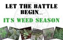 Weed Season Reminder Postcard