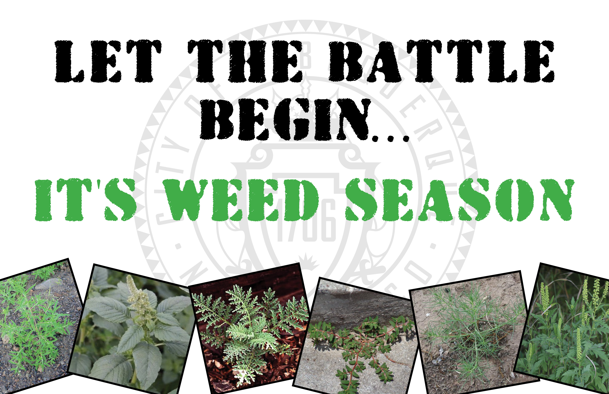 Weed Season Reminder Postcard