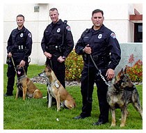 K9.jpg