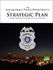 Strategic Report FY17