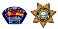 APD and BCSO Partner to Recover Carjacked Vehicle and Apprehend Offender