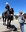APD Bids Farewell to Beloved Mounted Unit Horse, Nigel, After Years of Dedicated Service