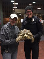 Unusual Stolen Pet Reunited with Owner, Thieves Arrested