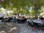 Senior Picnic Brings Community Together