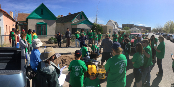 Volunteers Planting a tree