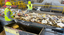 Manual Recycling Sorting Phase 2