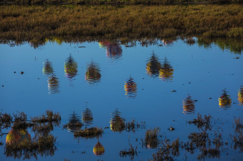 Balloons Reflected in Water